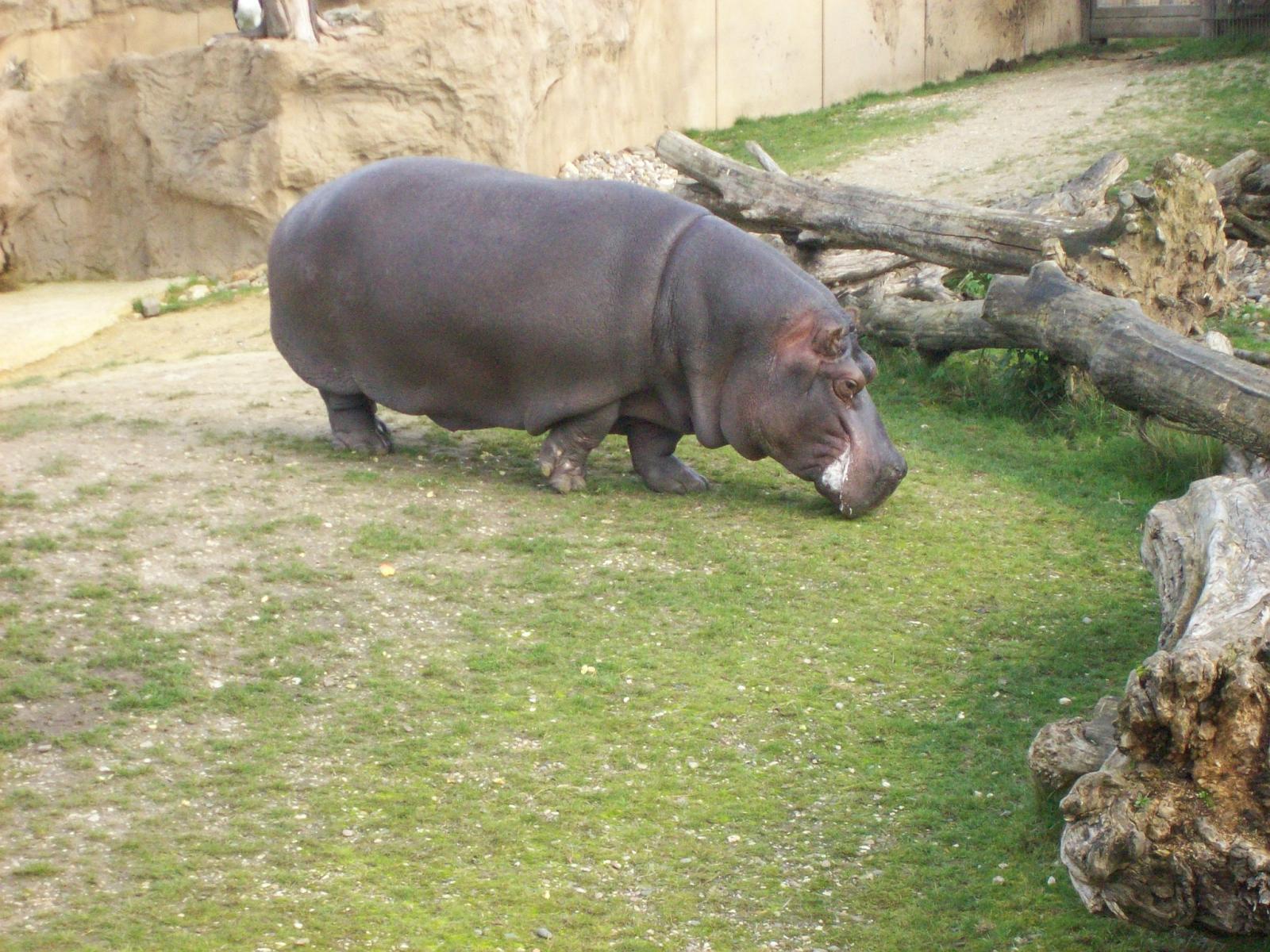 Zoom 18.10.2008-188.jpg